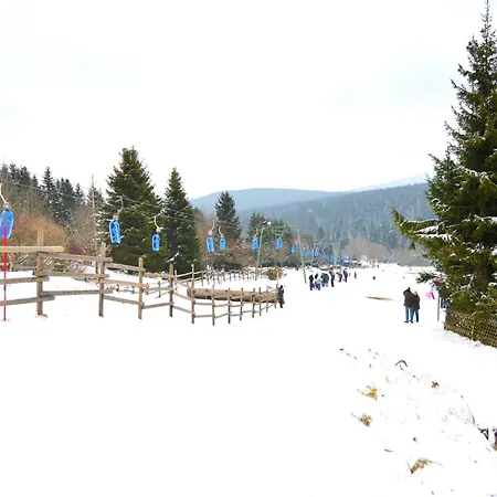 Pensionat Jaegerstieg 3*